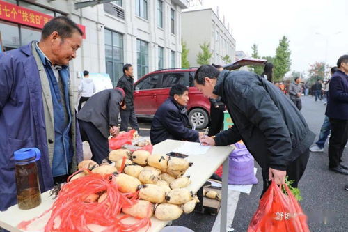 干汊河镇 举行全国第七个 扶贫日 消费扶贫活动和爱心捐款捐赠仪式